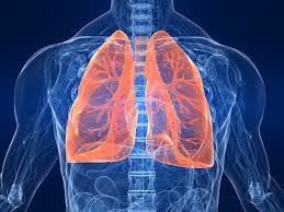 polmoni cancro